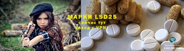 apvp Надым