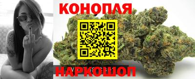 ПСИЛОЦИБИНОВЫЕ ГРИБЫ Берёзовский