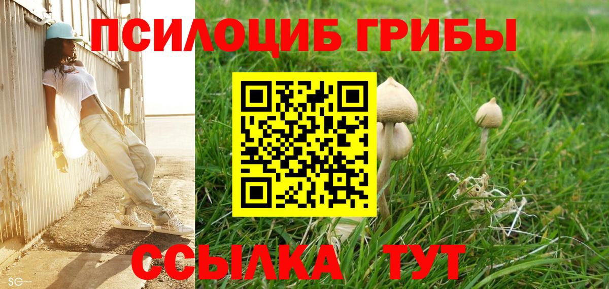 Псилоцибиновые грибы Psilocybine cubensis  Донской  что такое   Галлюциногенные грибы Psilocybine cubensis 