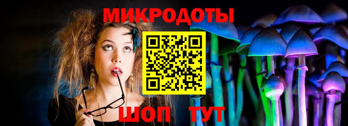 Донской  Галлюциногенные грибы прущие грибы  Вход с VPN 