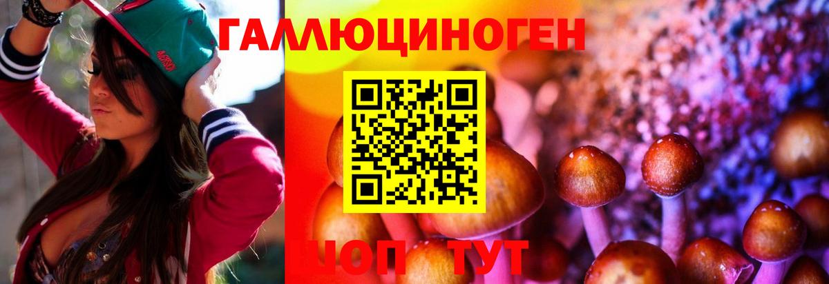 Псилоцибиновые грибы прущие грибы Донской